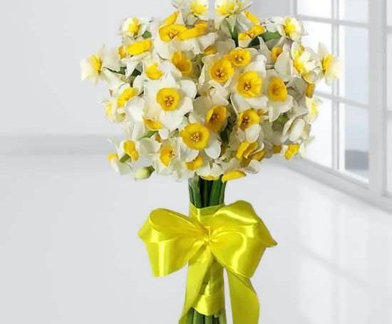 عکس دسته گل نرگس برای پروفایل