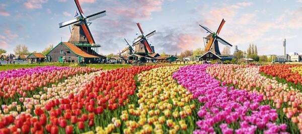 عکس زیبای طبیعت هلند