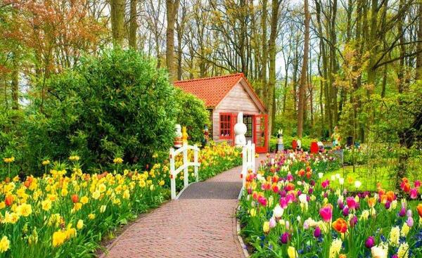 عکس زیبای طبیعت هلند