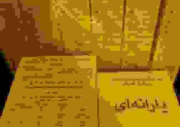 عکس شیر یارانه ای