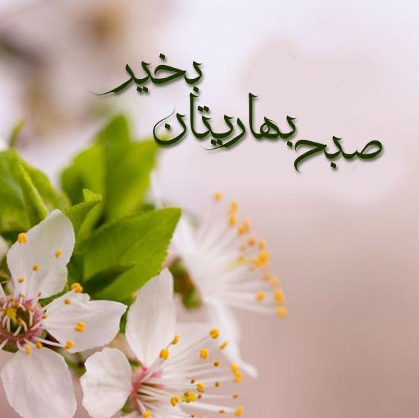 عکس بهار صبح