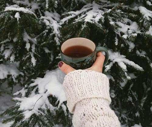 عکس چای زمستان
