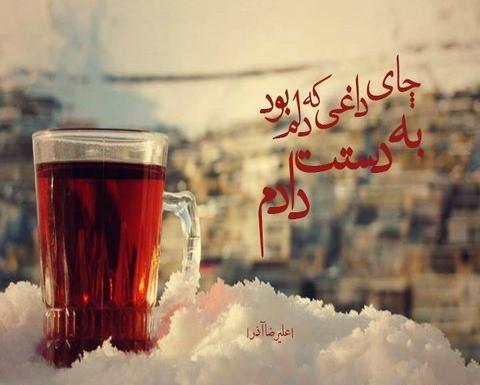 عکس چای زمستان