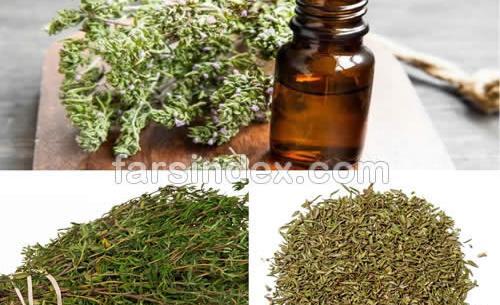 عکس و خواص اویشن