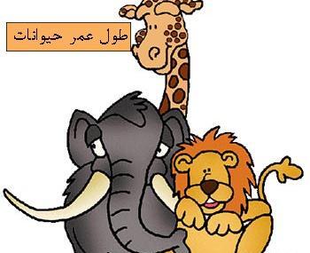 عکس حیوانات اهلی برای کودکان
