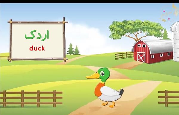 عکس حیوانات اهلی برای کودکان