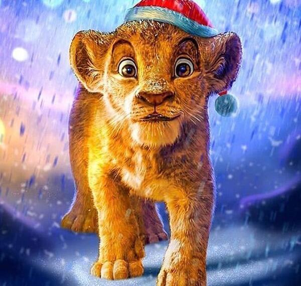 عکس شیر خفن برای پروفایل