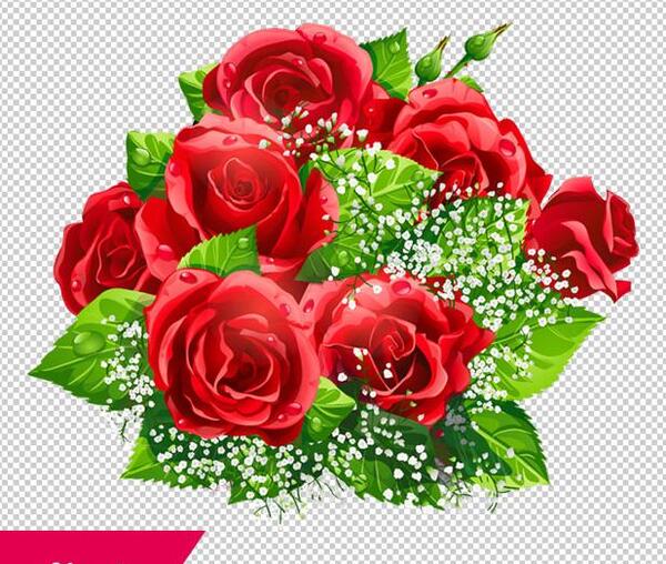 عکس دسته گل کارتونی