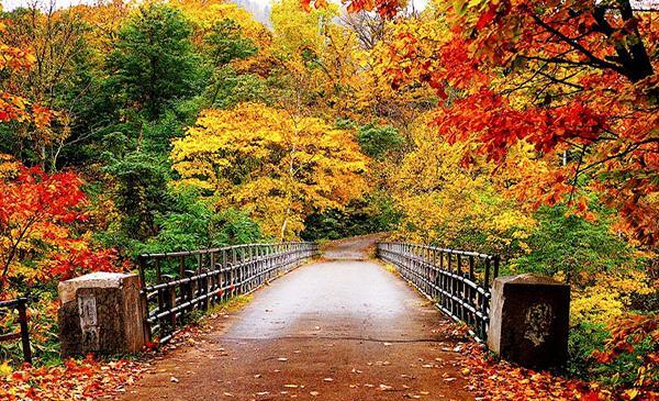 عکس برای پروفایل واتساپ منظره