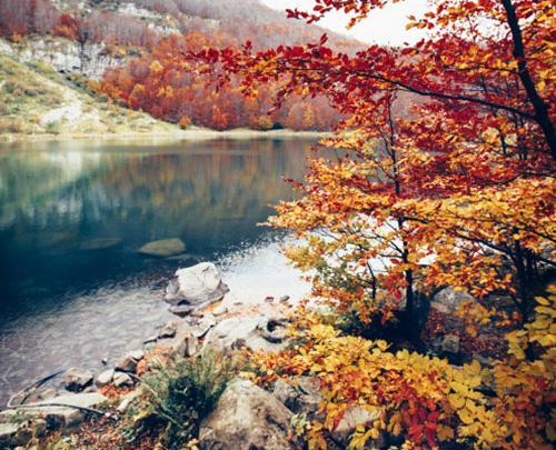 عکس برای پروفایل واتساپ منظره