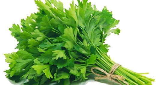 عکس جعفری وحشی