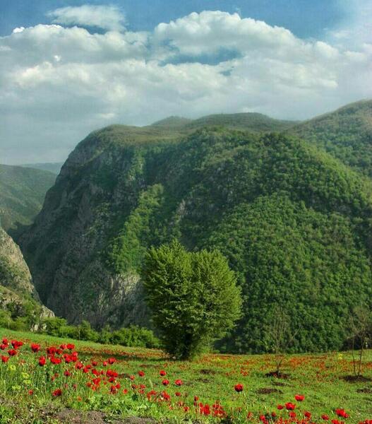 عکس پروفایل طبیعت ایران