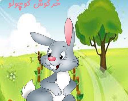 عکس خرگوش جنگلی