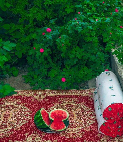 عکس طبیعت حس خوب