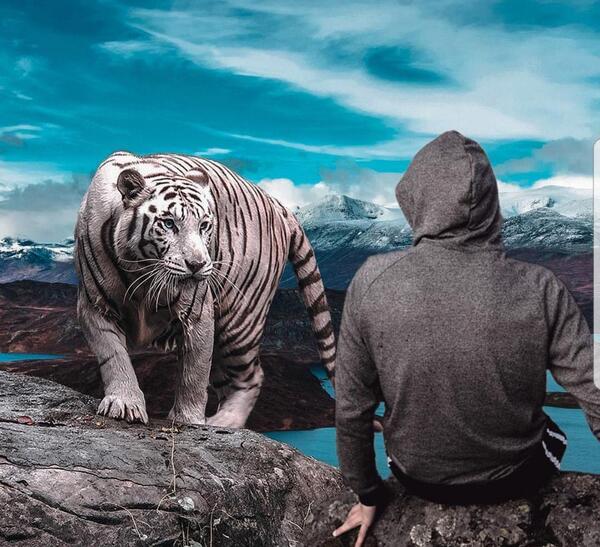 عکس حیوان صفحه