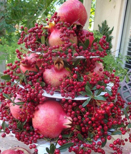 عکس شب چله ای برای عروس
