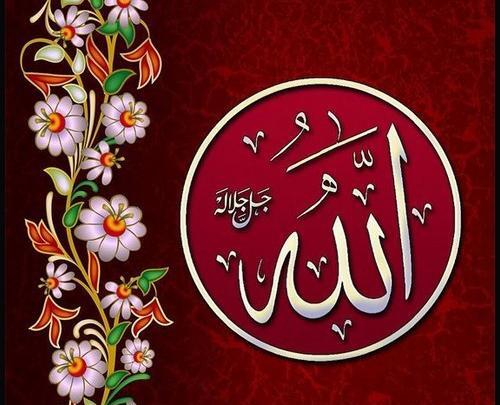 عکس الله گل