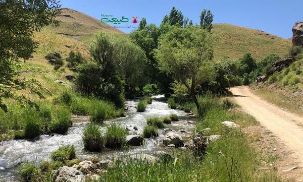 عکس پروفایل طبیعت کردستان