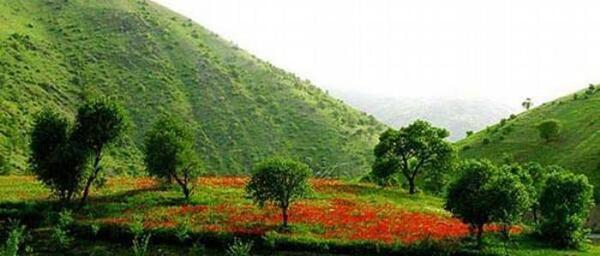 عکس پروفایل طبیعت کردستان