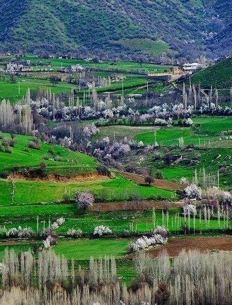 عکس پروفایل طبیعت کردستان