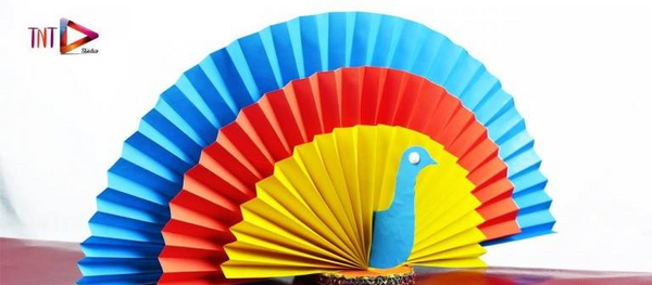 عکس طاووس کاردستی