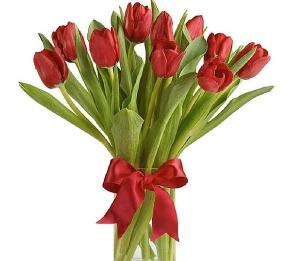 عکس دسته گل لاله سفید