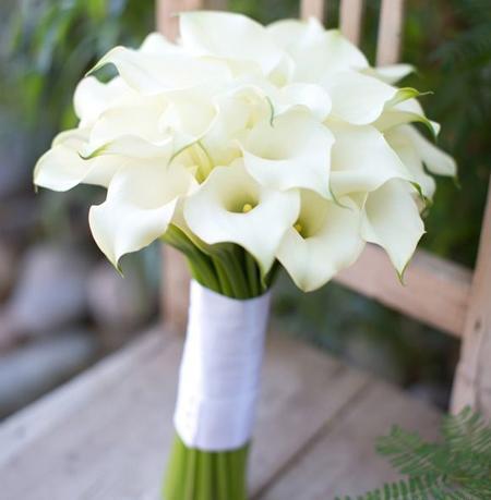 عکس دسته گل لاله سفید