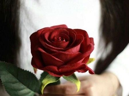 عکس گل رز دخترونه برای پروفایل