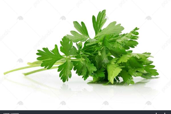 عکس جعفری ریز شده