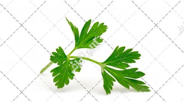 عکس جعفری ریز شده