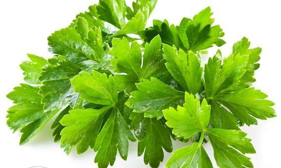 عکس جعفری ریز شده