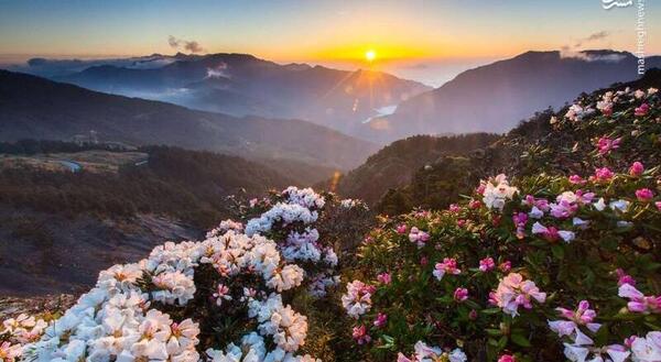 عکسهای زیبای طبیعت دنیا