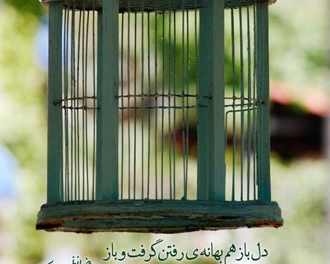 عکس شعر غمگین در قفس