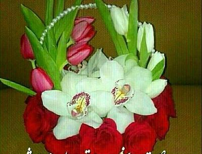 عکس صبح بخیر شادی