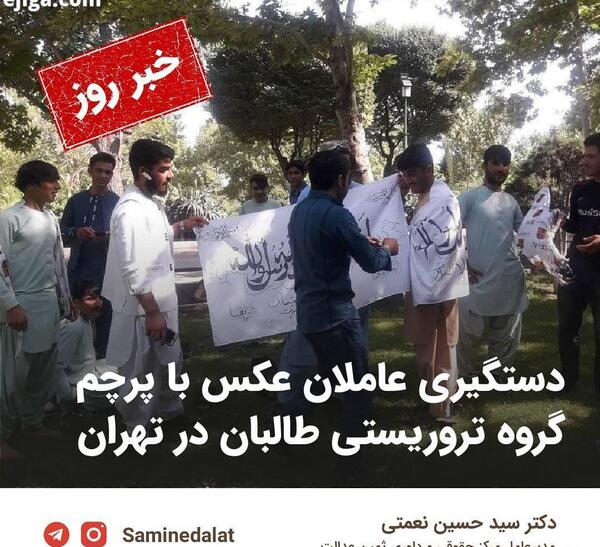 عکس ثمین داوری
