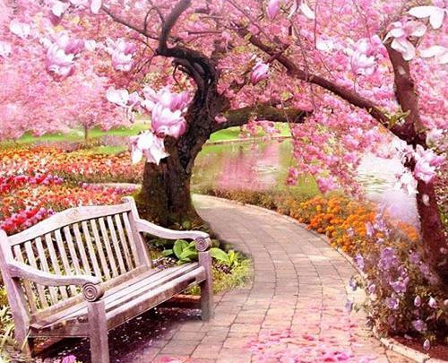 عکس پروفایل طبیعت زیبای بهاری