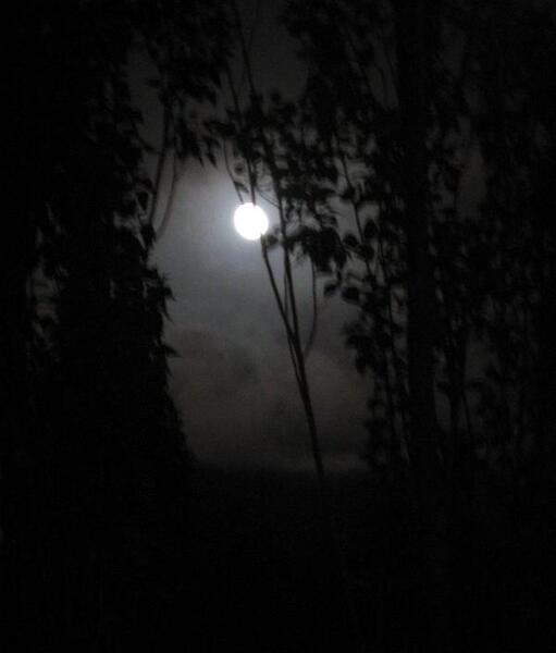 عکس شب آرامش