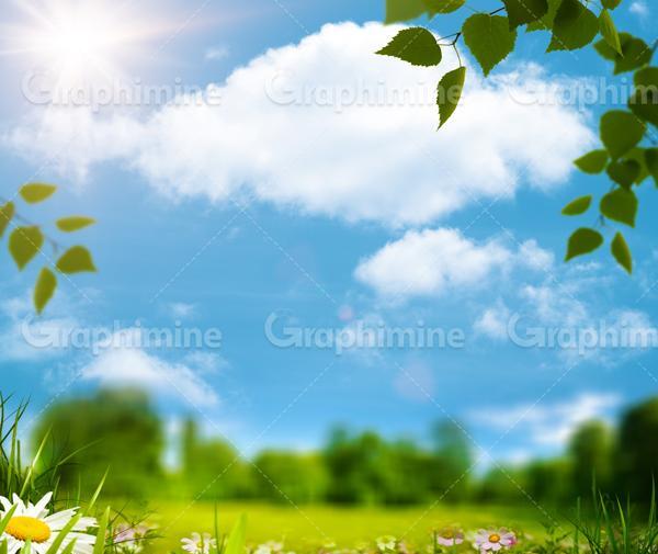 عکس از طبیعت سرسبز