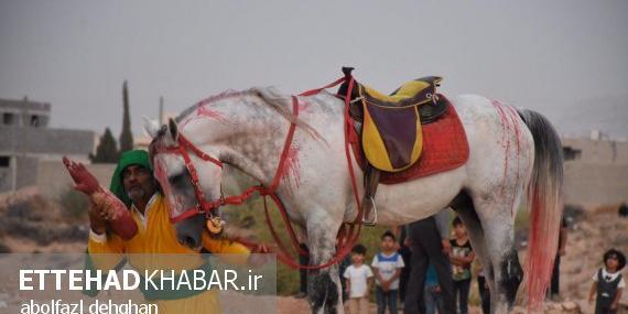 عکس اسب حضرت ابوالفضل
