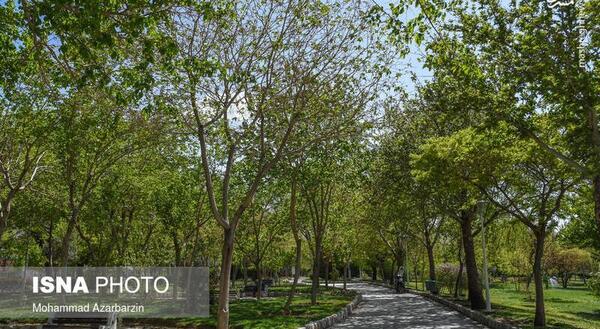 عکس از طبیعت اصفهان