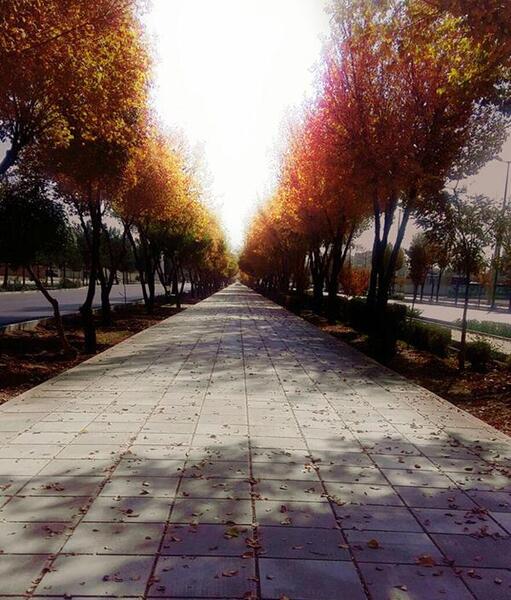 عکس از طبیعت اصفهان