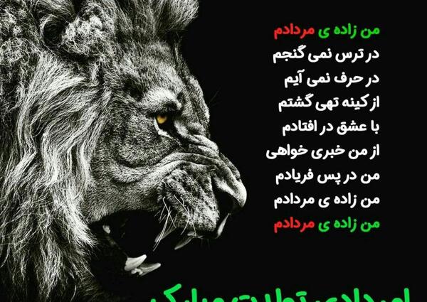 عکس شیر تولدم مبارک