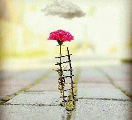 عکس جالب برای پروفایل بدون متن