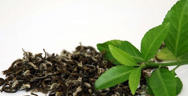 عکس چای سبز خشک شده