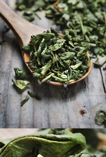 عکس چای سبز خشک شده