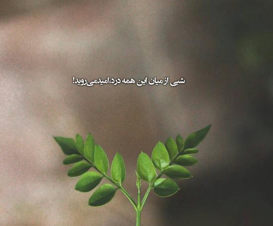 عکس نوشته خدایا حال دلمان را خوب کن