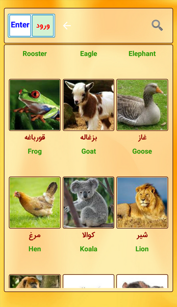 عکس حیوانات برای کودکان