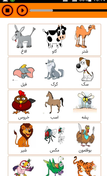 عکس حیوانات برای کودکان