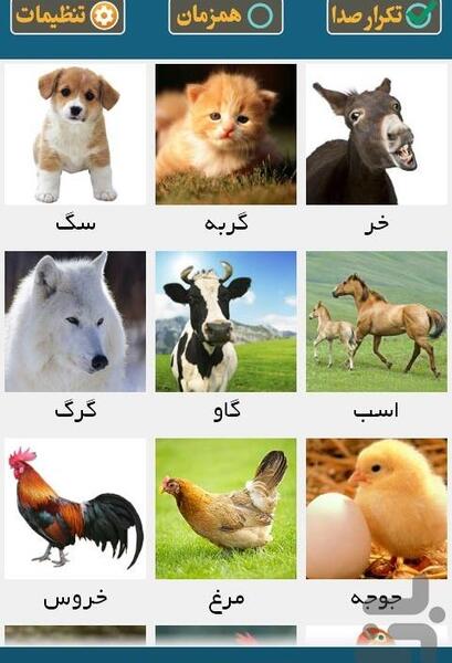 عکس حیوانات برای کودکان