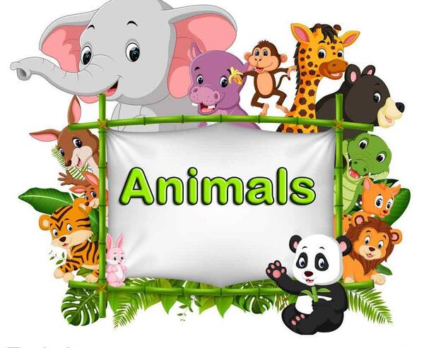 عکس حیوانات برای کودکان